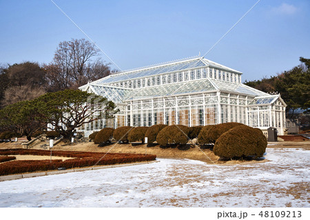 鍾路区 昌慶宮 大温室 48109213