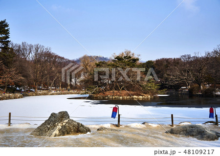 鍾路区 昌慶宮 朝鮮時代 48109217
