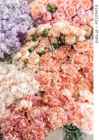 Floral carpet, flower texture, shop concept. Beautiful fresh blossoming flowers roses, spray roses Floral carpet, flower texture, shop concept. Beautiful fresh blossoming flowers roses, spray roses 48109459