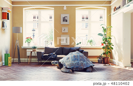 giant turtle in the living room. 48110402