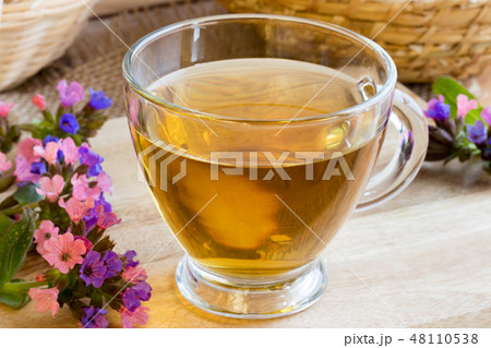 A cup of lungwort (pulmonaria) tea with lungwort A cup of lungwort (pulmonaria) tea with lungwort 48110538