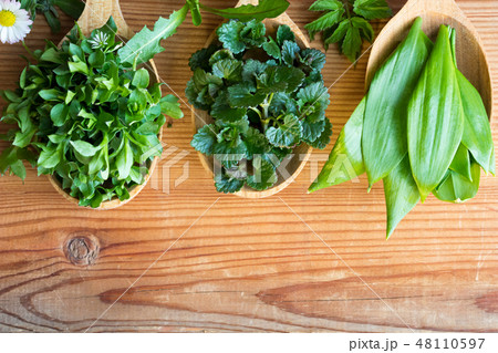 Wild edible spring herbs on three wooden spoons Wild edible spring herbs on three wooden spoons 48110597