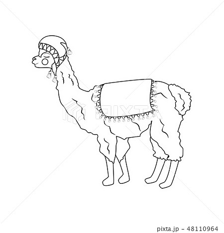 Llama in hat outline illustration 48110964