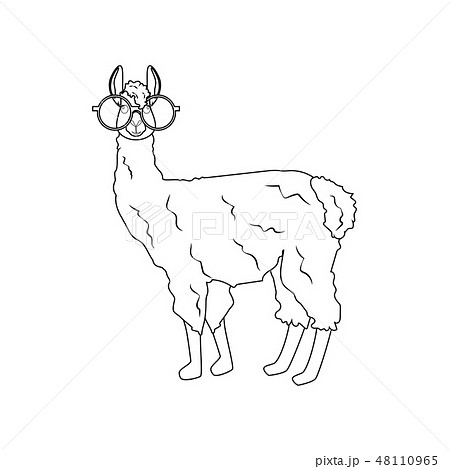 Llama in round glasses outline illustration 48110965