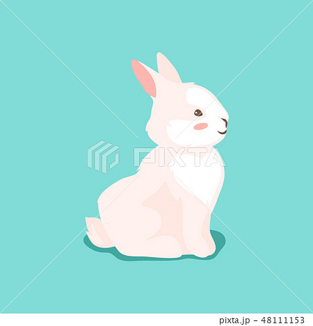 Cute Easter Bunny illustration. Cute Easter Bunny illustration. 48111153