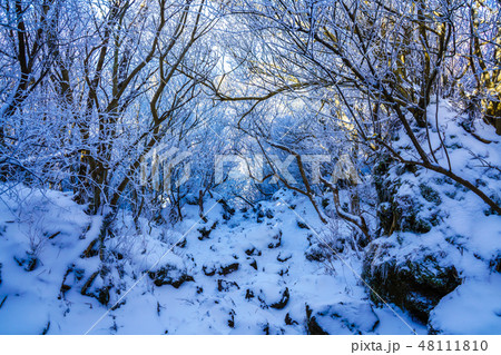登山道の冬景色(雲仙岳の冬景色と霧氷) 【長崎県雲仙市】 登山道の冬景色(雲仙岳の冬景色と霧氷) 【長崎県雲仙市】 48111810