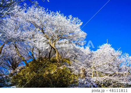 登山道の冬景色（雲仙岳の冬景色と霧氷）　【長崎県雲仙市】 48111811