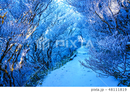 登山道の冬景色(雲仙岳の冬景色と霧氷) 【長崎県雲仙市】 登山道の冬景色(雲仙岳の冬景色と霧氷) 【長崎県雲仙市】 48111819