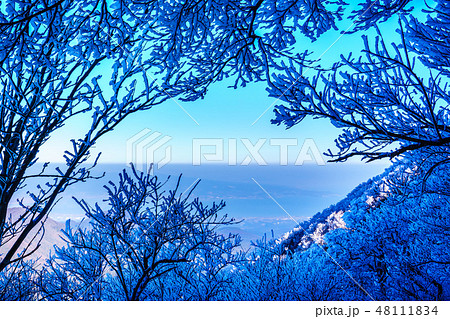 登山道の冬景色（雲仙岳の冬景色と霧氷）　【長崎県雲仙市】 48111834