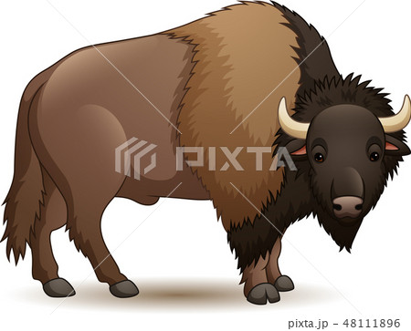 Illustration Of Bison Isolated On White Backgroundのイラスト素材