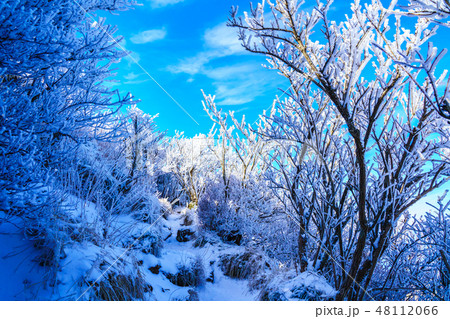 普賢岳からの冬景色（雲仙岳の冬景色と霧氷）　【長崎県雲仙市】 48112066