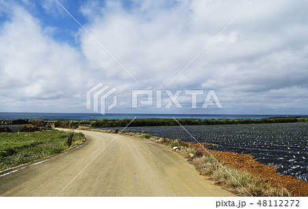 宮古島の風景 海 南国の海 沖縄の海 宮古島 沖縄 離島 リゾート 旅行 宮古島の風景 海 南国の海 沖縄の海 宮古島 沖縄 離島 リゾート 旅行 48112272