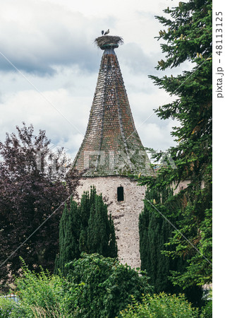 on the roof of the stork's nest 48113125