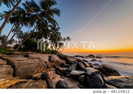 Romantic sunset on a tropical beach with palm trees Romantic sunset on a tropical beach with palm trees 48114812