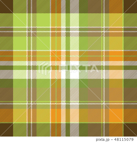 Fabric texture check plaid seamless pattern 48115079