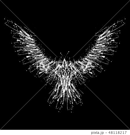 Ink blots white raven 48118217