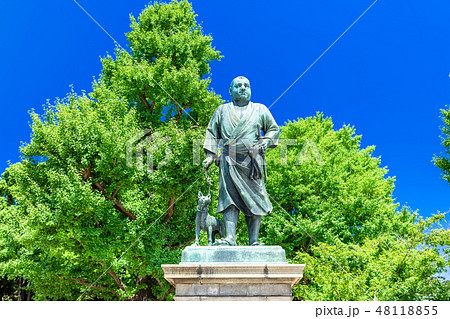 東京　上野公園　西郷隆盛像 48118855