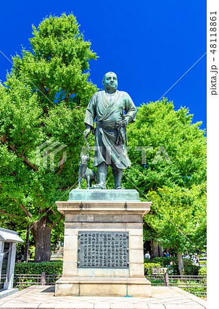 東京　上野公園　西郷隆盛像 48118861