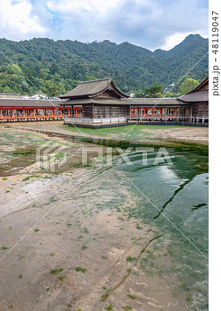 厳島神社 西回廊と能舞台 厳島神社 西回廊と能舞台 48119047