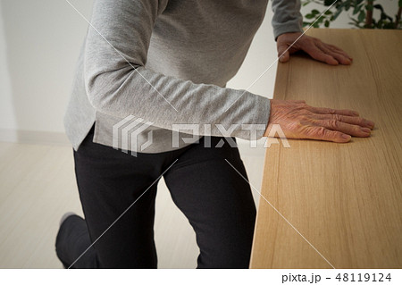 シニア　つかまり立ち 48119124