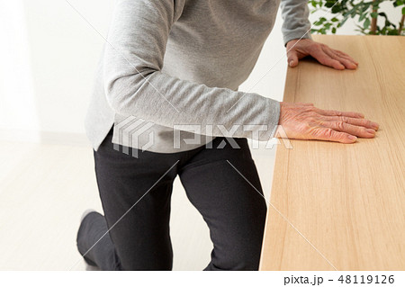 シニア　つかまり立ち 48119126