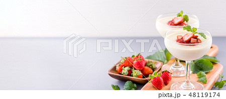 イチゴ いちご 苺 48119174