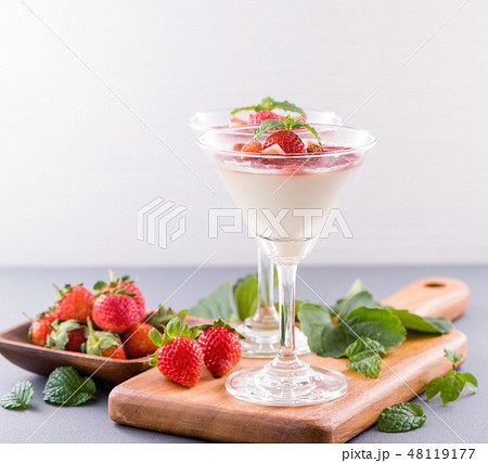イチゴ いちご 苺 48119177