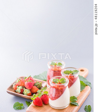 イチゴ いちご 苺 48119204