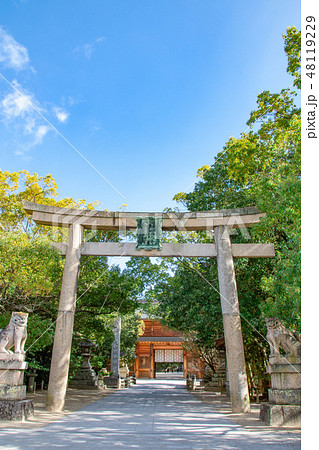 大山祇神社の鳥居 48119229