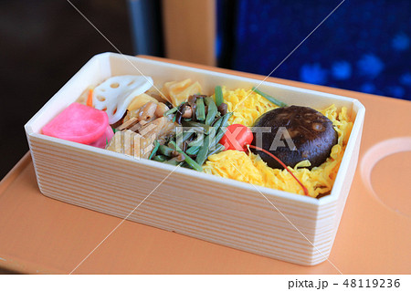列車内で食べるおいしいお弁当 48119236