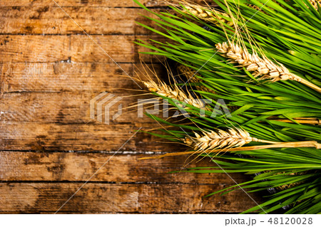 Wheat branch on a wooden table 48120028