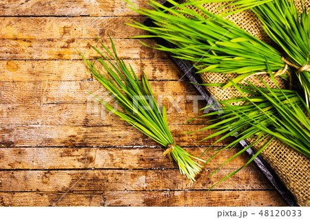 Wheat branch on a wooden table 48120033