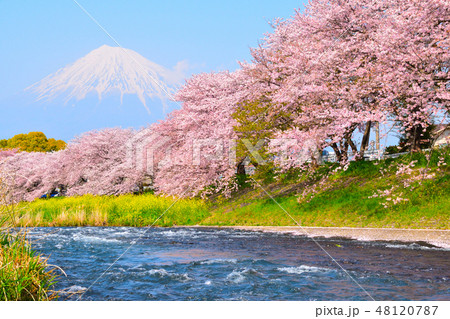 桜景　龍厳淵 48120787