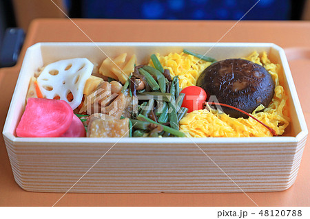 列車内で食べるおいしいお弁当 列車内で食べるおいしいお弁当 48120788