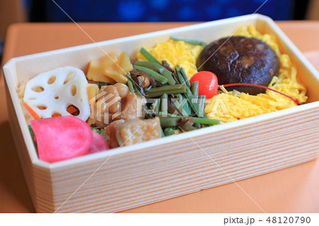 列車内で食べるおいしいお弁当 列車内で食べるおいしいお弁当 48120790