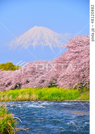 桜景　龍厳淵 48120882