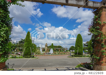 夏の横浜山下公園 48122609