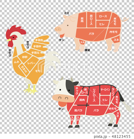 肉になる動物のイラスト 部位説明有り のイラスト素材