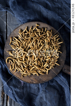 edible seasoned fried worms 48124146