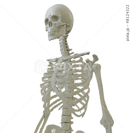 3d printed skeleton isolated 3d printed skeleton isolated 48124322