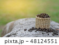 Roasted coffee beans 48124551