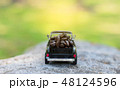 Roasted coffee beans on the model car 48124596