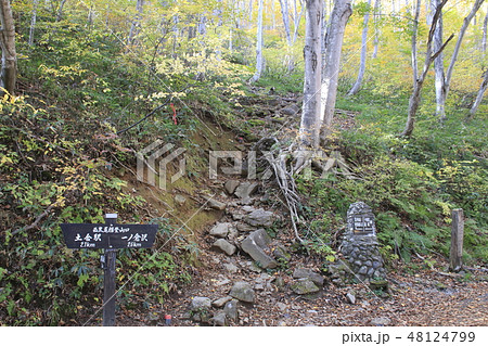 紅葉の谷川岳（西黒尾根登山口） 48124799