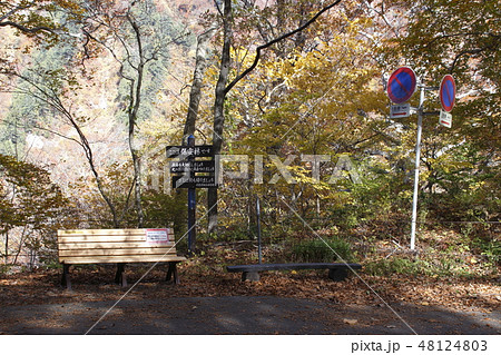 紅葉の谷川岳にて（一ノ倉沢→マチガ沢出合） 48124803