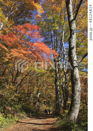紅葉の谷川岳にて（一ノ倉沢→幽ノ沢） 48124814