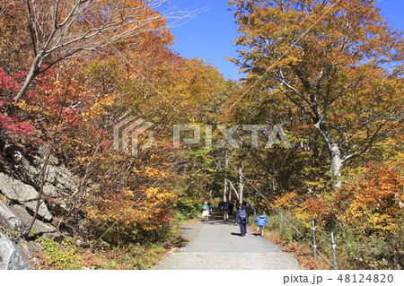 紅葉の谷川岳にて(マチガ沢出合→一ノ倉沢) 紅葉の谷川岳にて(マチガ沢出合→一ノ倉沢) 48124820