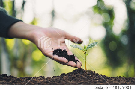 Plant Trees concept People planting trees in the f 48125001