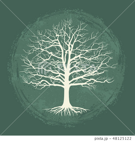 Old bare tree on vintage background. Vector illustration 48125122
