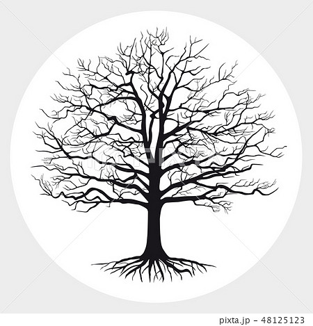 Black silhouette of a bare tree . Vector illustration. 48125123