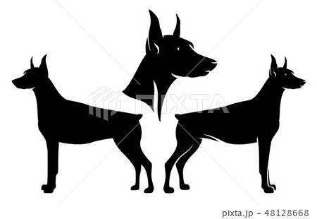 doberman guard dog black vector design set 48128668